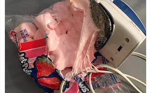 30 Ironing Fails So Bad, People Just Had To Share Them Online