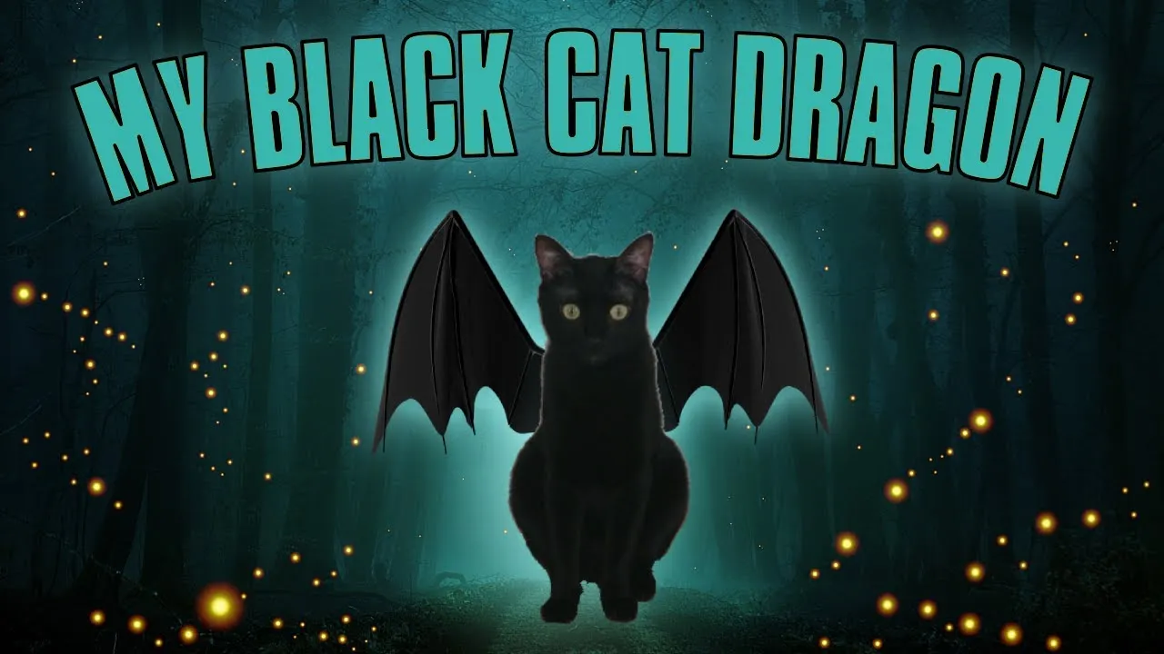 How I Met My Black Cat Dragon