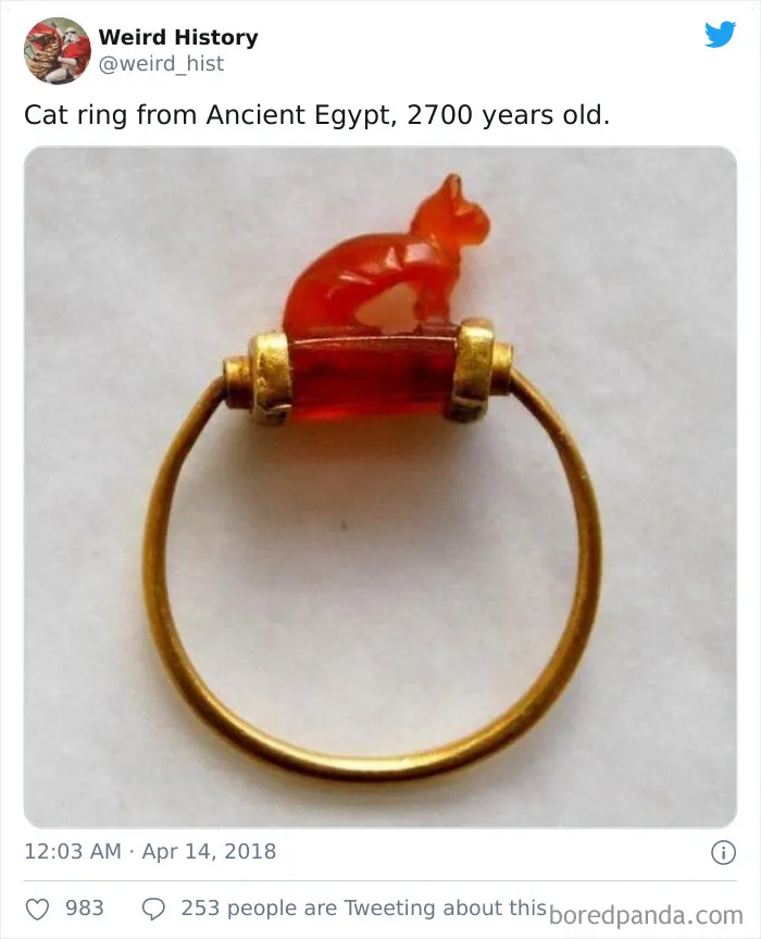 'Weird History' Is An Account That Shares Interesting, Odd, And Funny Things That Happened Throughout History
