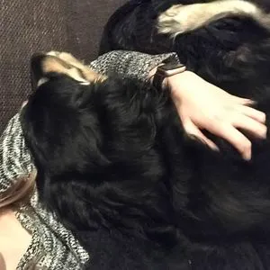 Lazy L
