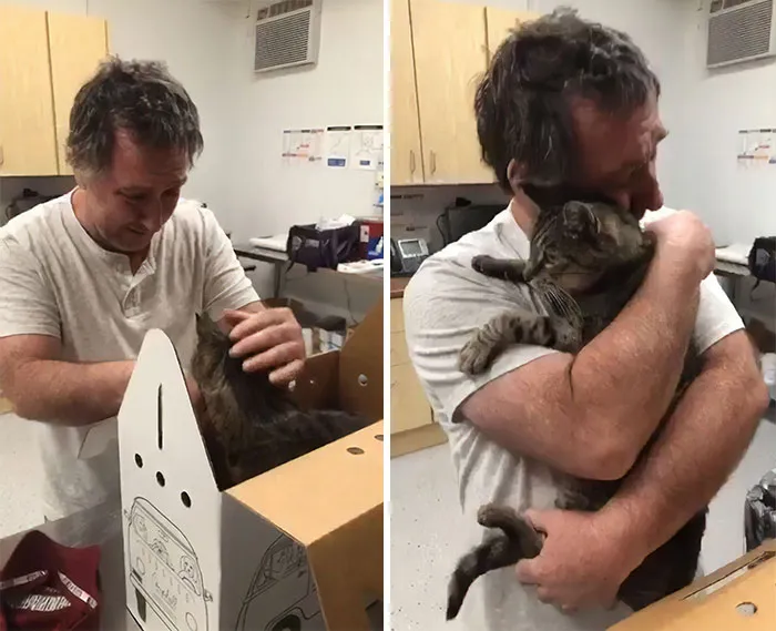 Este hombre se reune con su gato de 19 años, 7 años después de que desapareciera