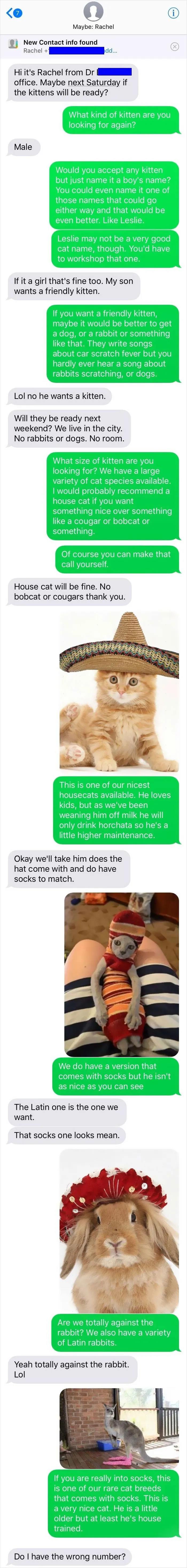 40 Wrong Number Texts So Funny, People Just Had To Share Screenshots