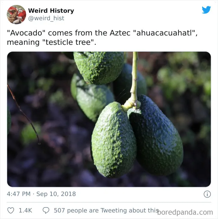 'Weird History' Is An Account That Shares Interesting, Odd, And Funny Things That Happened Throughout History
