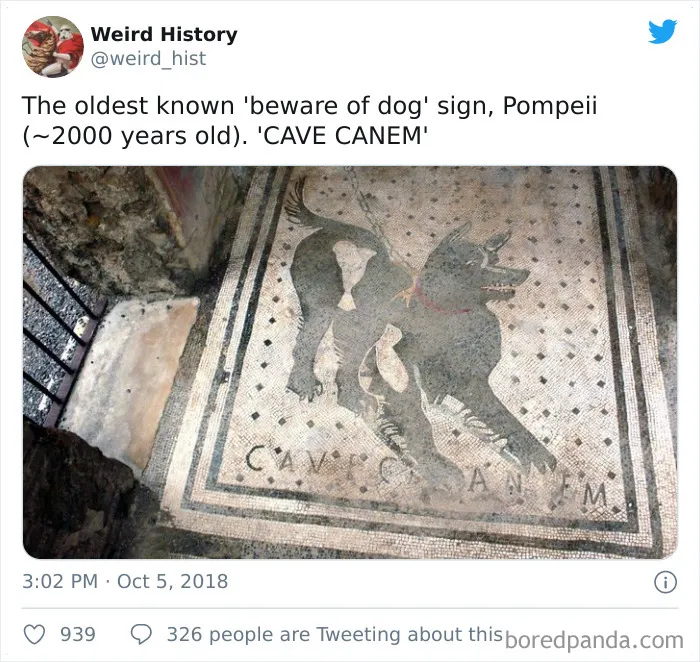 'Weird History' Is An Account That Shares Interesting, Odd, And Funny Things That Happened Throughout History
