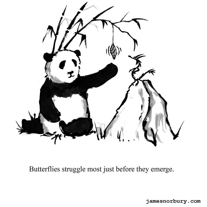 I Paint A Dragon And Panda As Best Friends To Spread Some Love And Self-Acceptance (29 Pics)