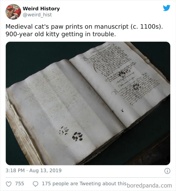'Weird History' Is An Account That Shares Interesting, Odd, And Funny Things That Happened Throughout History