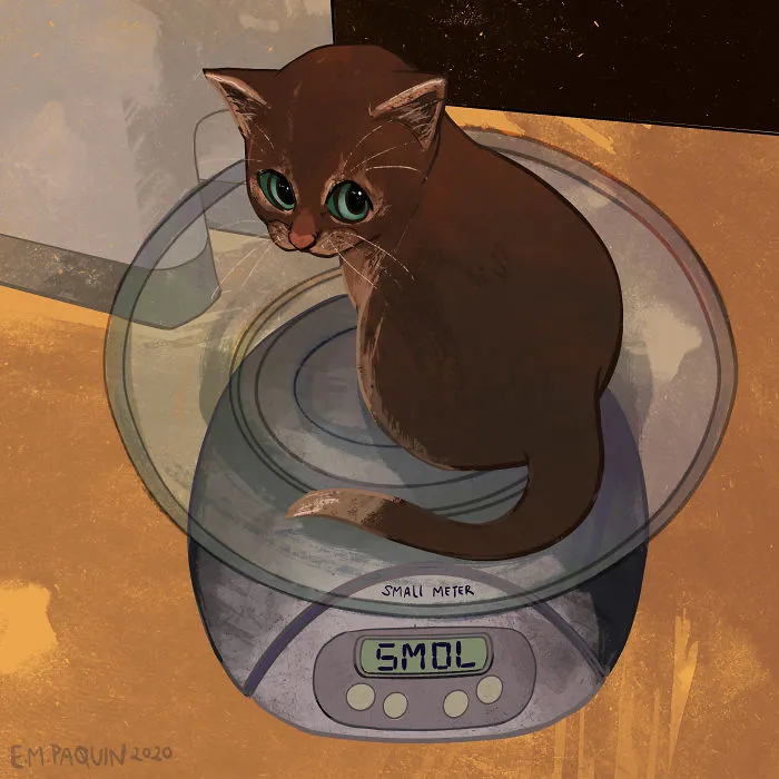 Artist Wants To Adopt A Cat So Bad, She Signs Up For A 100-Day Cat Meme Drawing Challenge