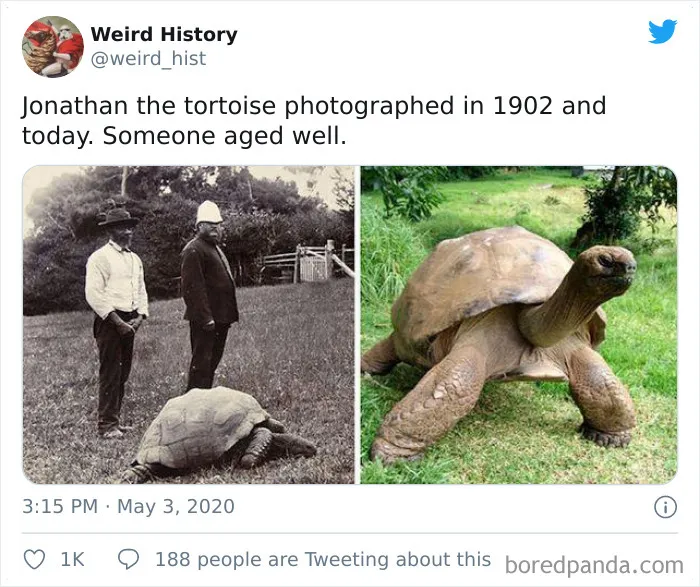 'Weird History' Is An Account That Shares Interesting, Odd, And Funny Things That Happened Throughout History