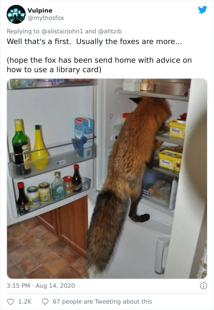 Well That's A First.  Usually The Foxes Are More...