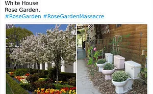 People Are Ridiculing Melania Trump's White House Rose Garden Renovation With Savage Tweets