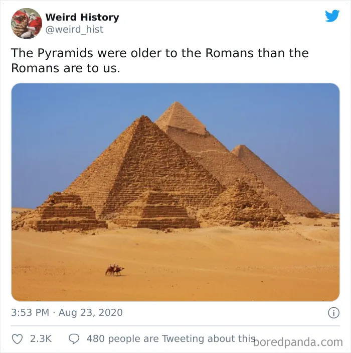 'Weird History' Is An Account That Shares Interesting, Odd, And Funny Things That Happened Throughout History