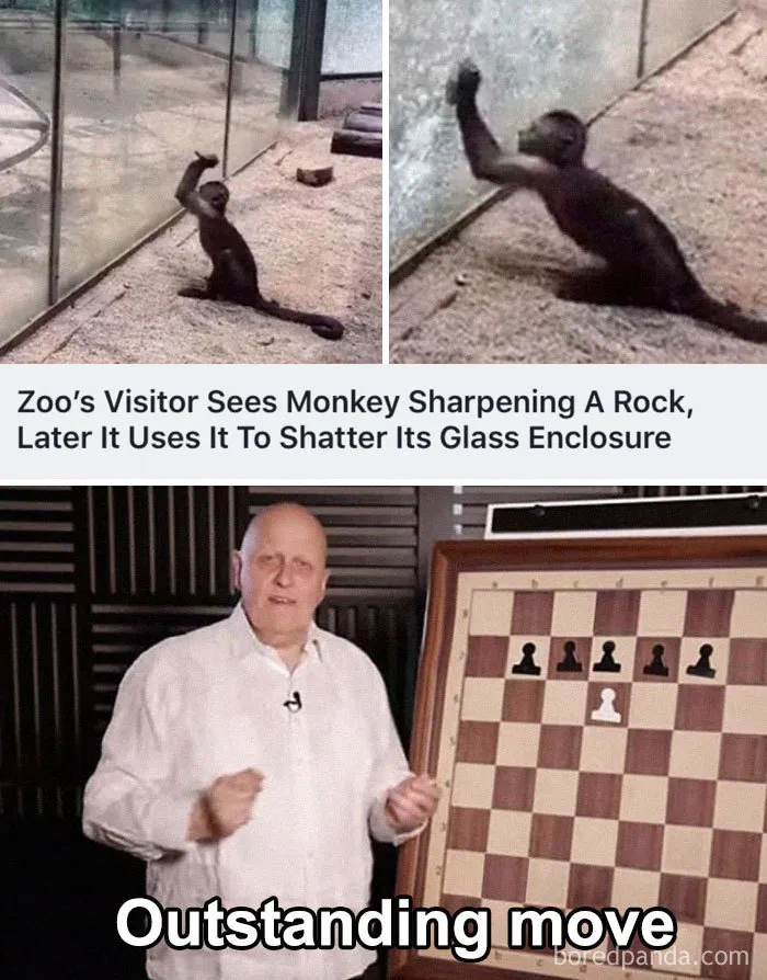 38 Of The Funniest 'Outstanding Move' Jokes Ever