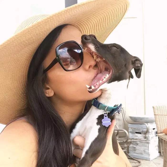 Esta mujer no sale de casa debido a su enfermedad crónica, así que se trajo un perro que pone caras muy humanas (30 fotos)