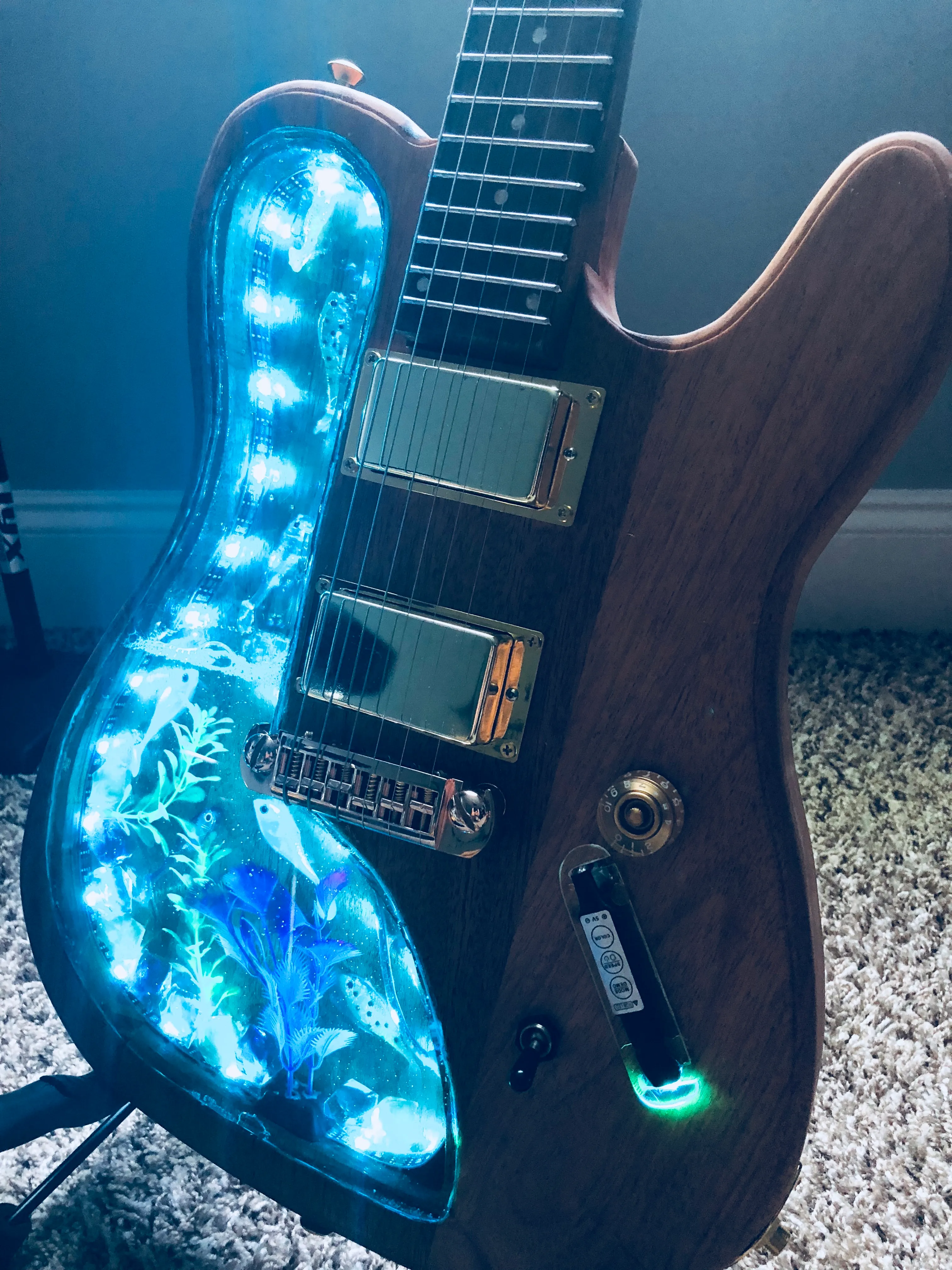 The Aquarium Eletric Guitar 🎸🐠 Aka “The Fishcaster”