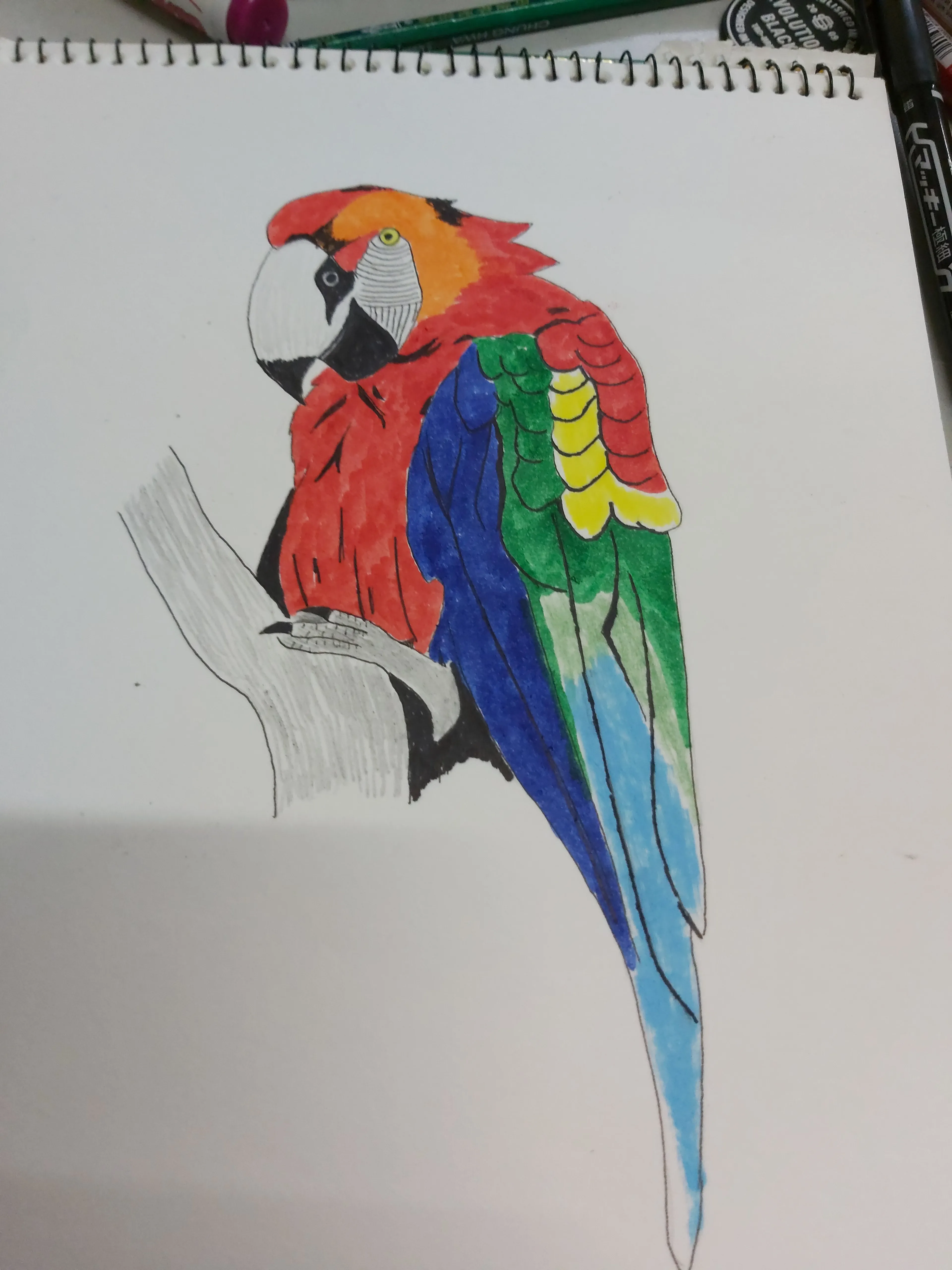 🦜🦜🦜