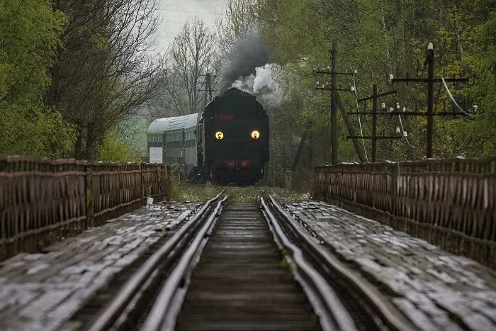 26