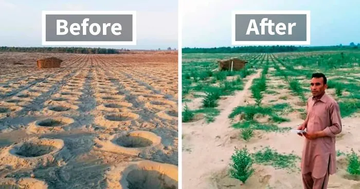 See How The “10 Billion Tree Tsunami” Tree Planting Campaign Transformed This Area Between 2019 And 2020