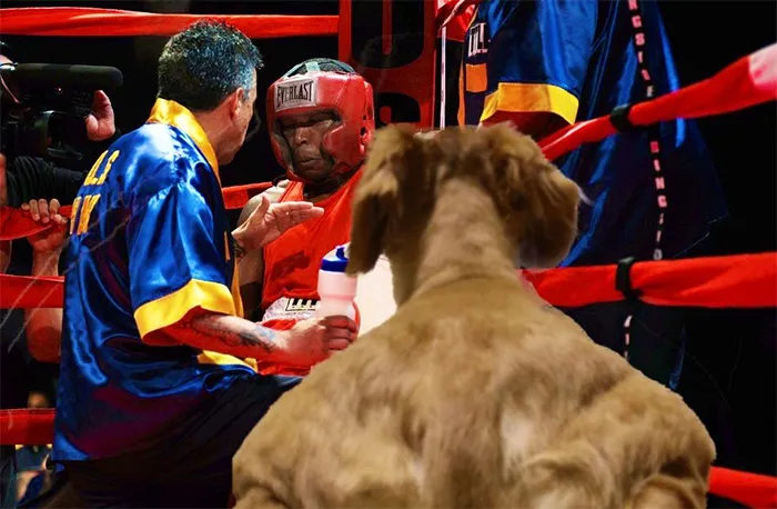 Someone Shares Pic Of An Absolute Unit Of A Dog, 16 Twitter Users Photoshop And Draw It In A Hilarious Way