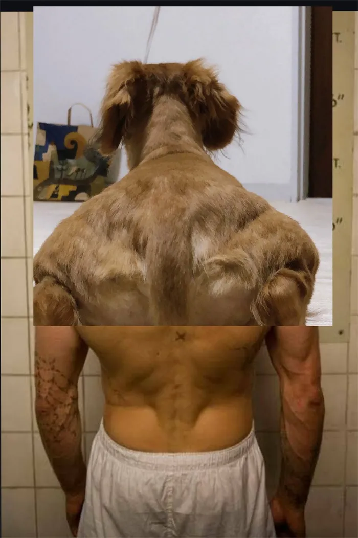 Someone Shares Pic Of An Absolute Unit Of A Dog, 16 Twitter Users Photoshop And Draw It In A Hilarious Way
