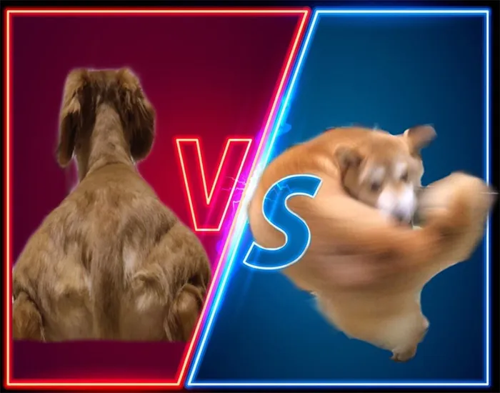 Someone Shares Pic Of An Absolute Unit Of A Dog, 16 Twitter Users Photoshop And Draw It In A Hilarious Way