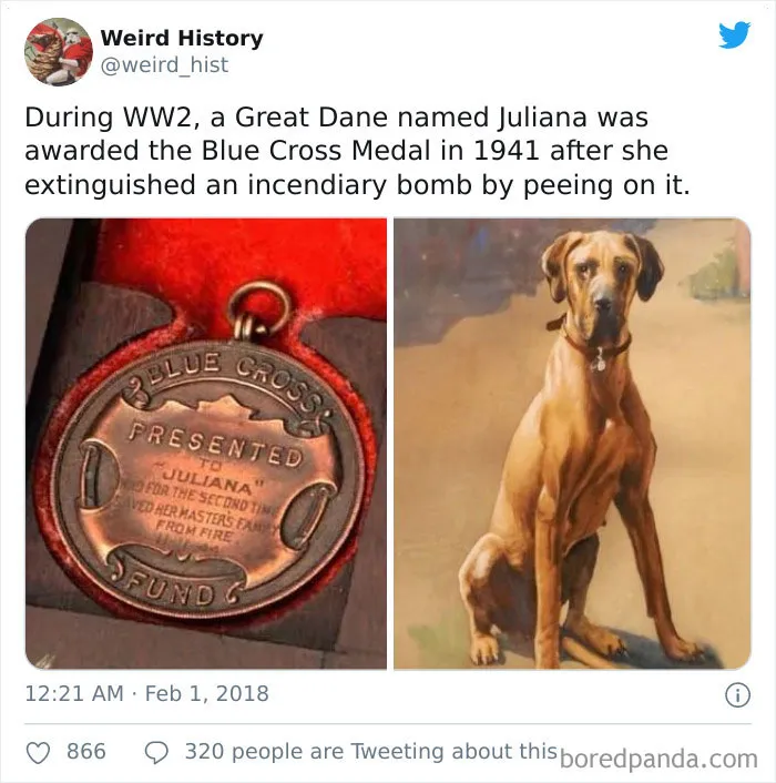 'Weird History' Is An Account That Shares Interesting, Odd, And Funny Things That Happened Throughout History