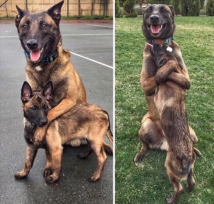 Father And Son