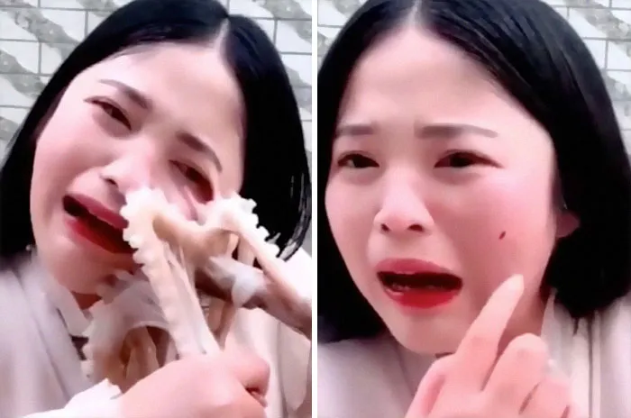 Qué podría salir mal si me intento comer un pulpo vivo