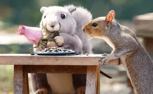 I Built A Tiny Café In My Garden, Here Are 30 Fun Photos Of My Visitors