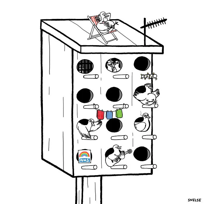 Bird Apartment