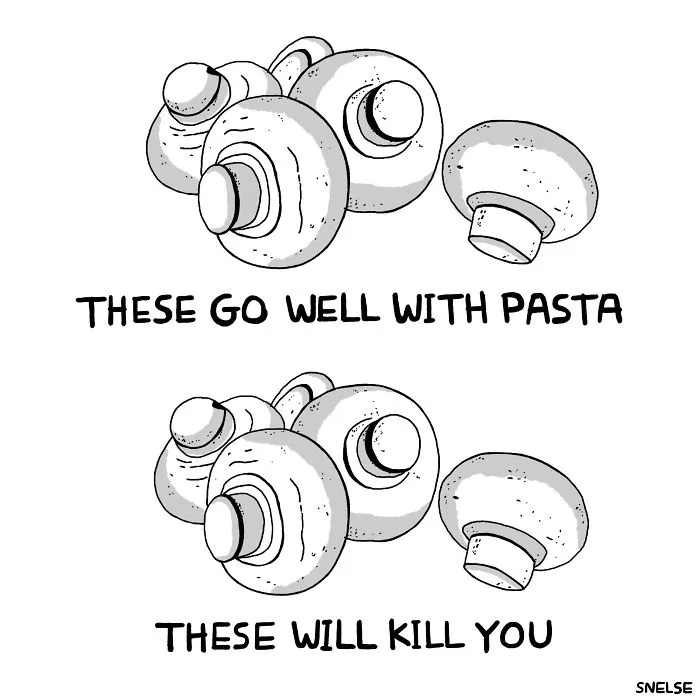 Mushrooms