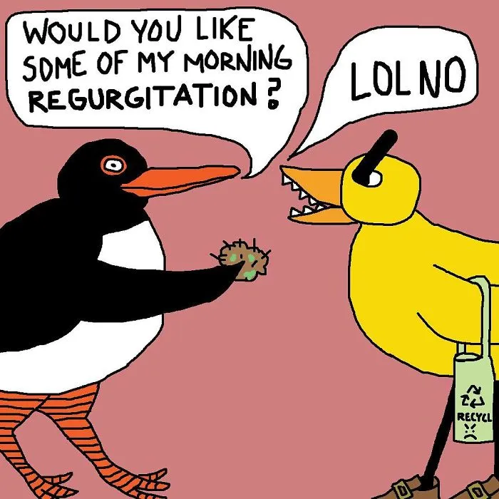 Lardy Oystercatcher Strikes Again