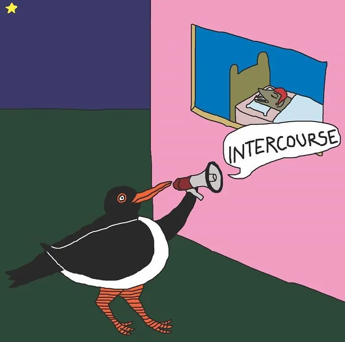 Lardy Oystercatcher Always Has Time For A Random Chat