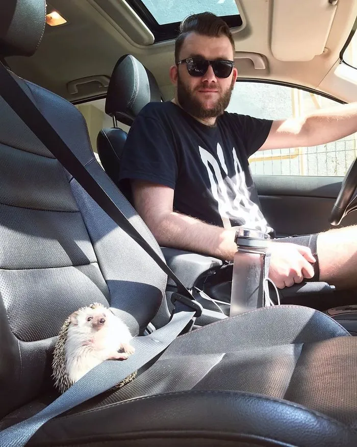 Safety First