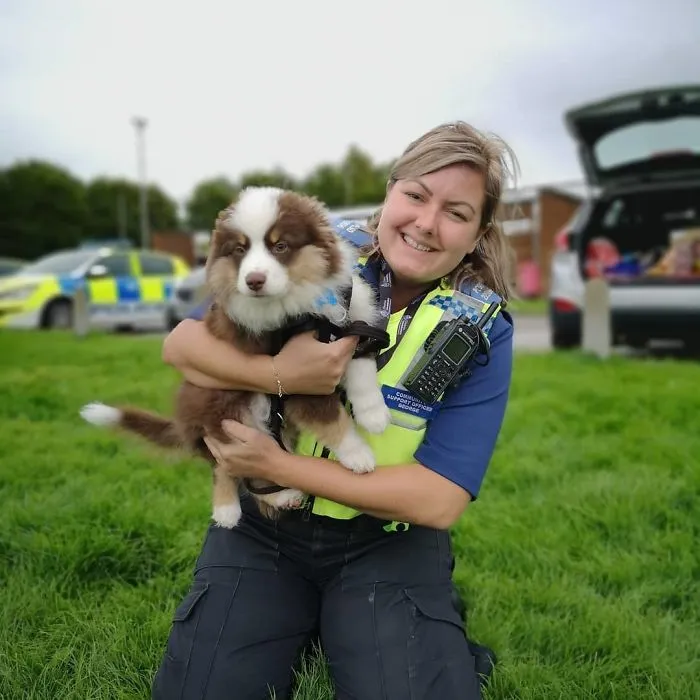 30 Times Police Puppies Tried To Act Tough But They Just Looked Adorable Instead