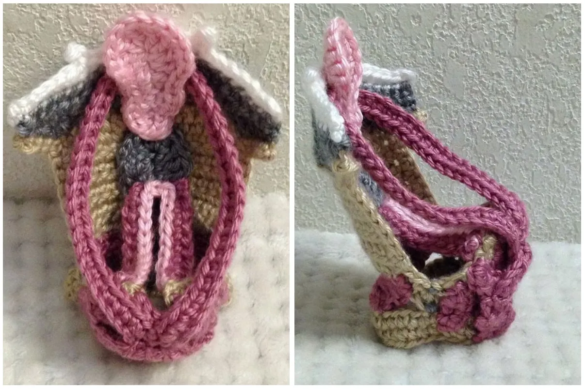 Aileen Robinson Crocheted A Larynx Medical Model! In Case You're Wondering, That's A Voice Box ...