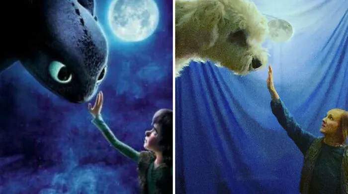 How To Train Your Dragon