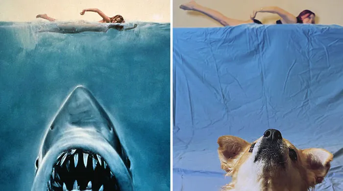 Jaws