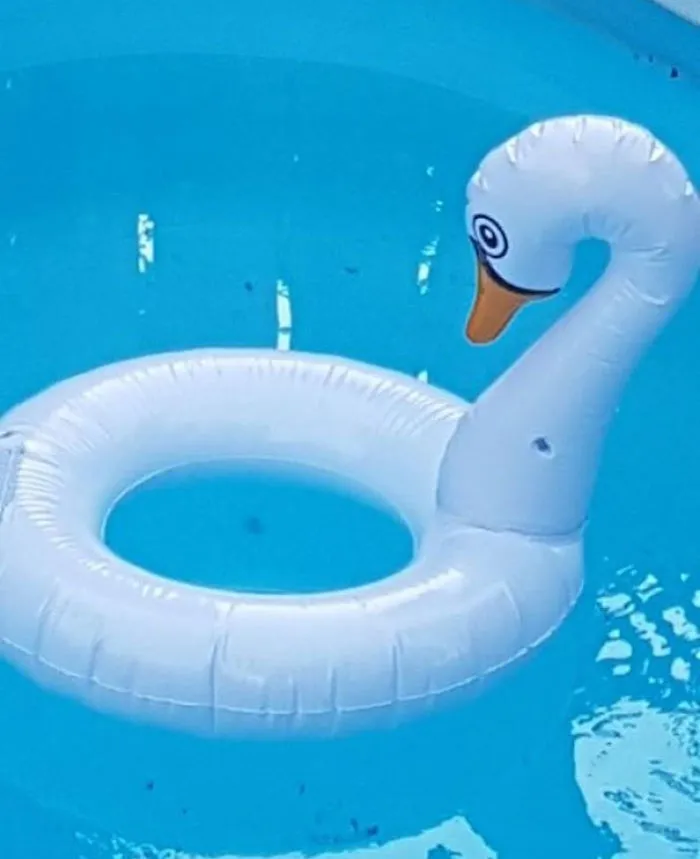 Flotador de cisne por 4$