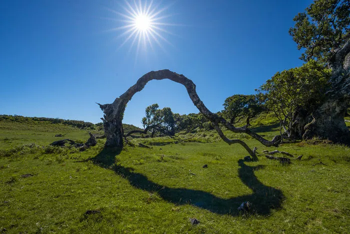 This Trip To Madeira Was By Far My Most Exciting One, Here Are 21 Magical Pictures I Took There