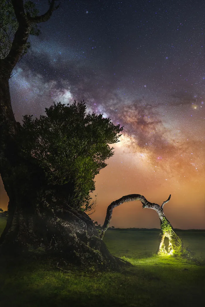 This Trip To Madeira Was By Far My Most Exciting One, Here Are 21 Magical Pictures I Took There