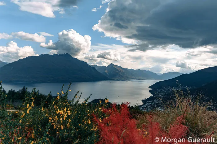 View From Queenstown Hill