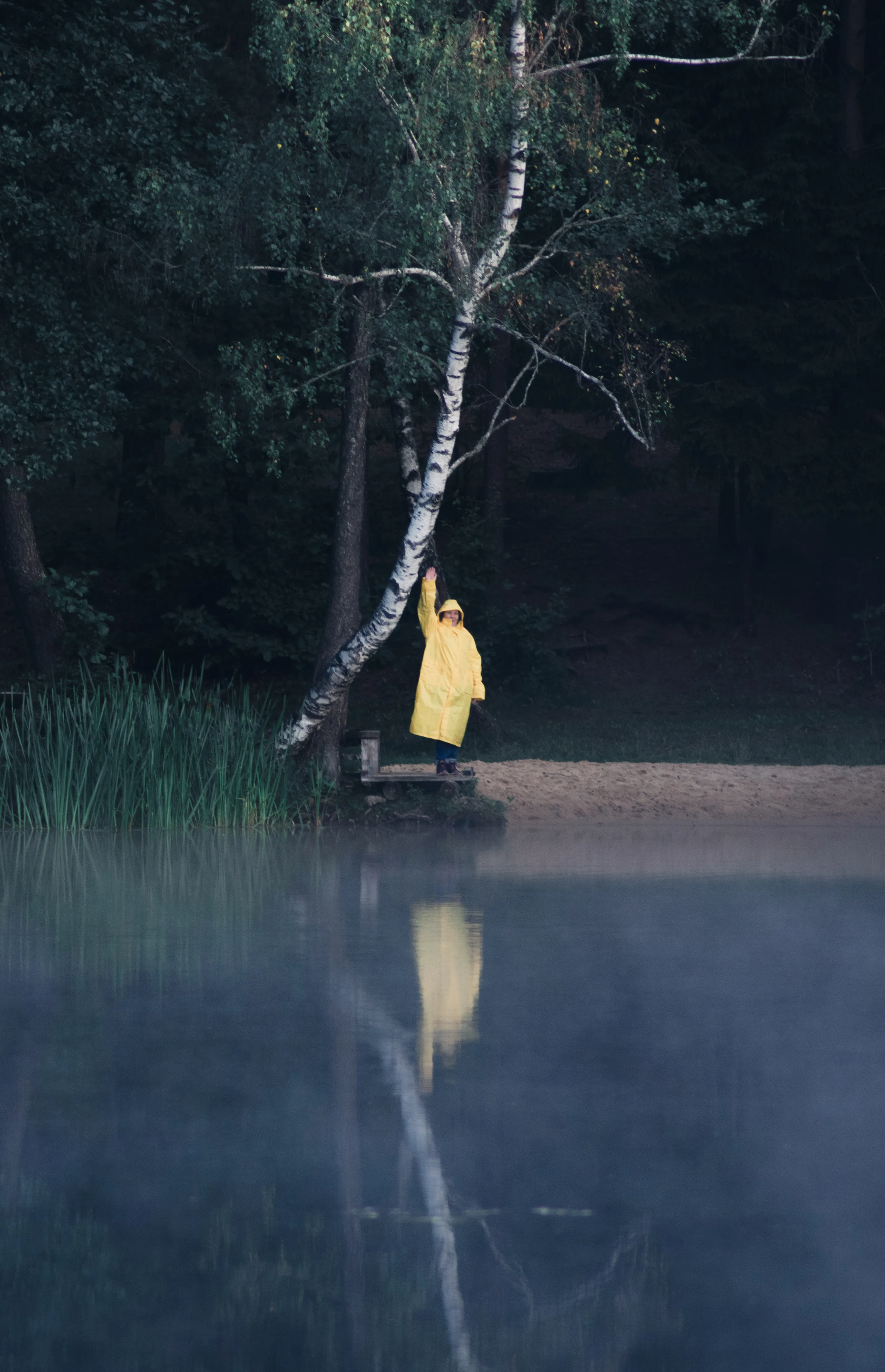 I Am A 17 Year Old Photographer, Capturing Moody Nature From My Perspective.