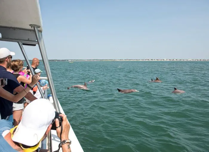Full Enjoyable Fun Things To Do In Myrtle Beach