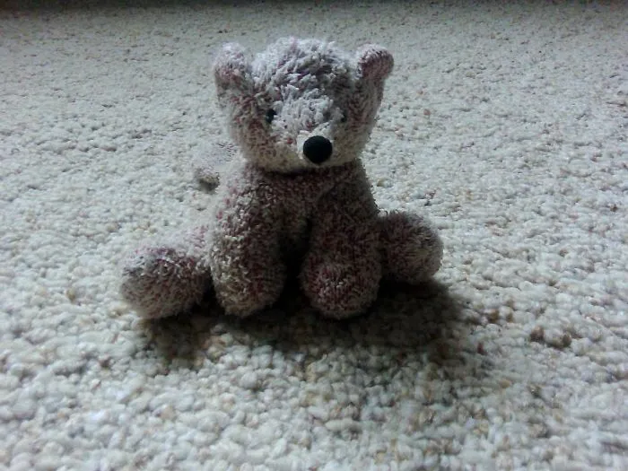 Meet Foxy, Found Lying On The Side Of The Road When My Dad Ran Out Of Gas On The Way To Work