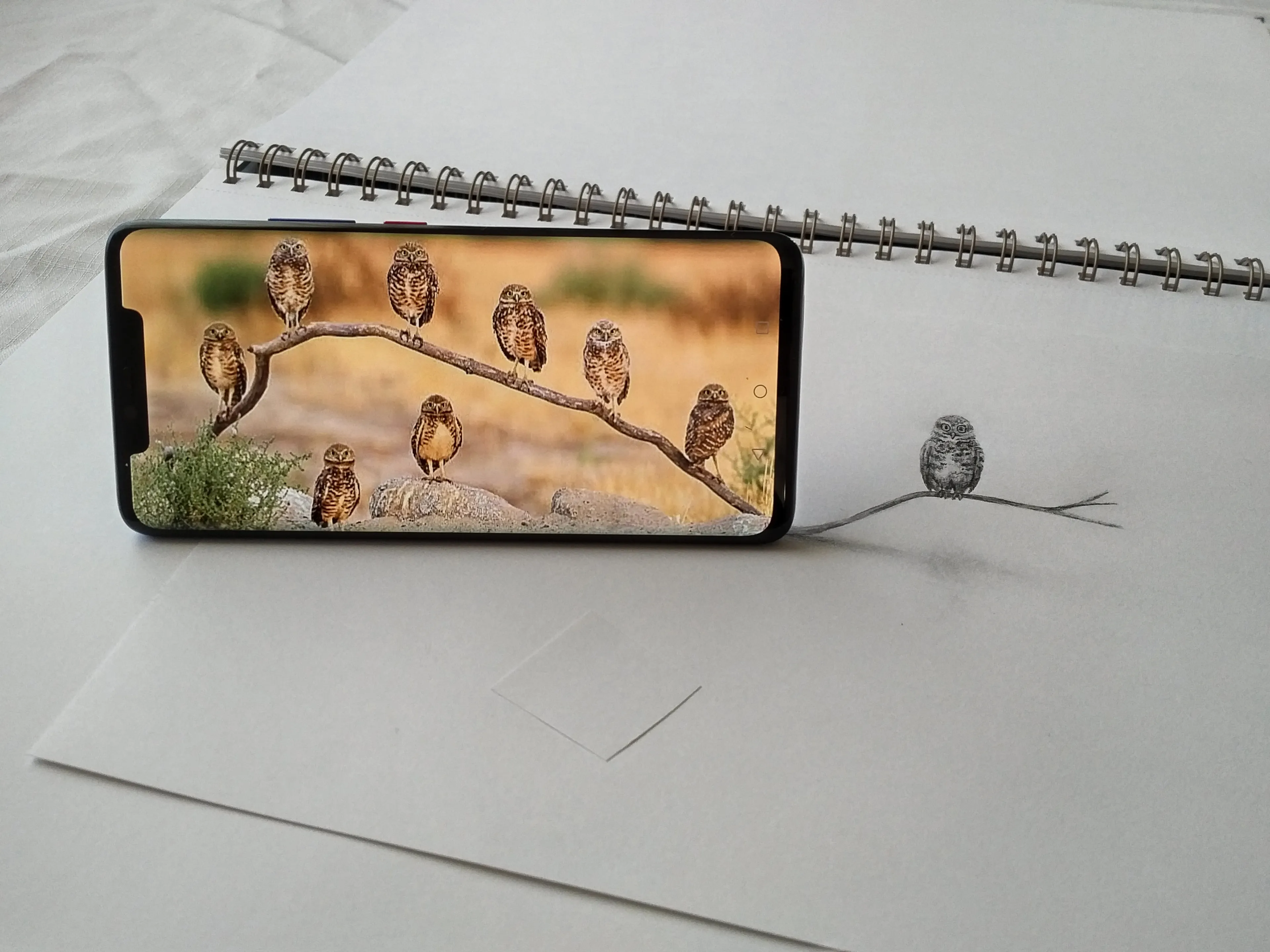 How I Envisioned These Photos