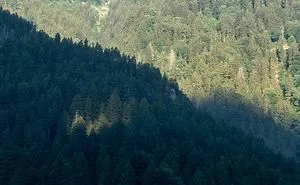 Life In Karadeniz Region.