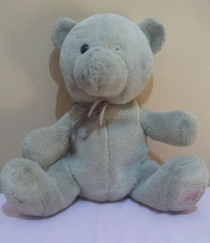 This Is Jenyroad,i Got Him For My First Birthday,i Went With Him Everywhere. We've Been Together For 13 Years. I Love Him So Much