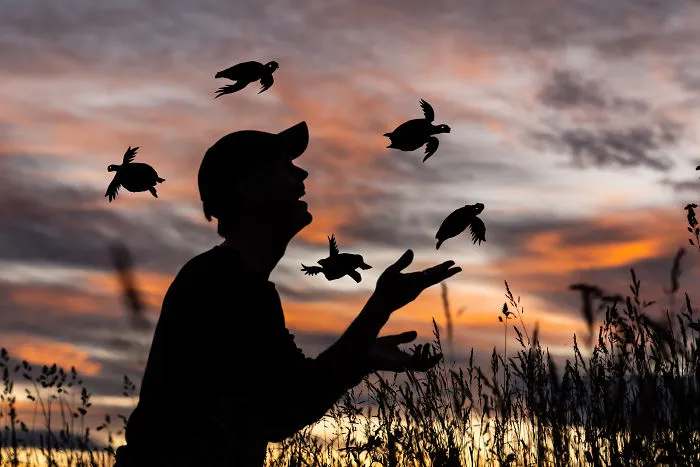 The Hatch