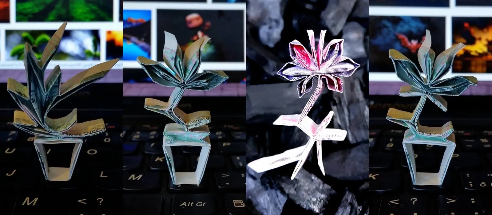 Money Origami