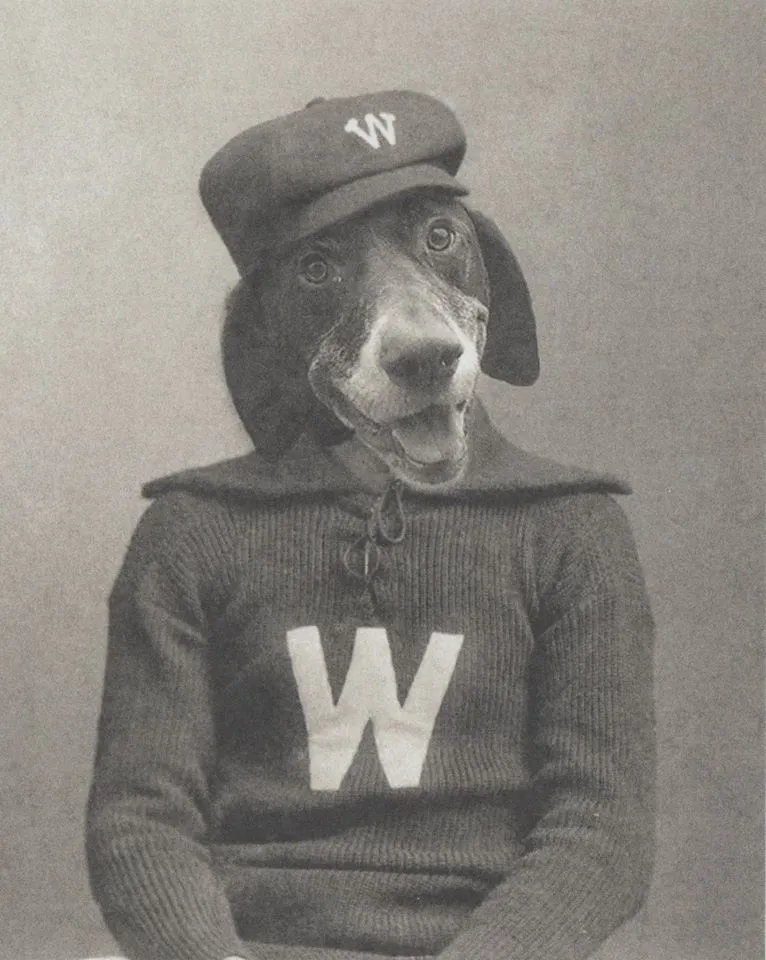 The Remarkable Backstory Of A Photo Of My Dog's Head Superimposed On A Man's Body